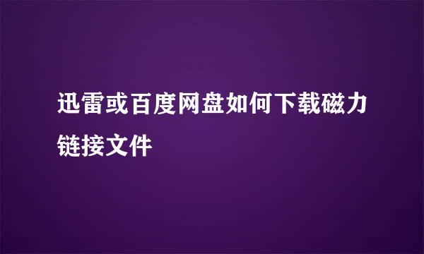 迅雷或百度网盘如何下载磁力链接文件