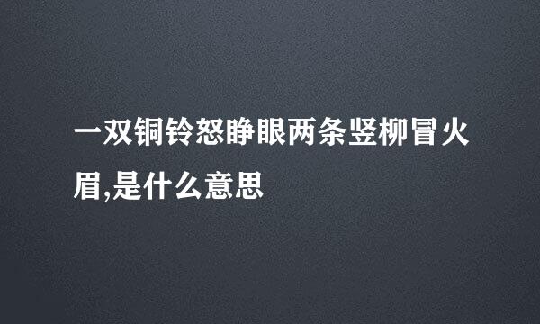 一双铜铃怒睁眼两条竖柳冒火眉,是什么意思