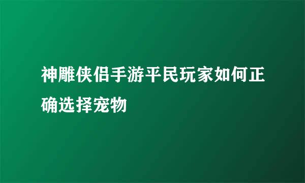 神雕侠侣手游平民玩家如何正确选择宠物