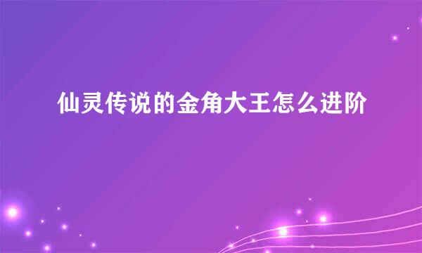 仙灵传说的金角大王怎么进阶