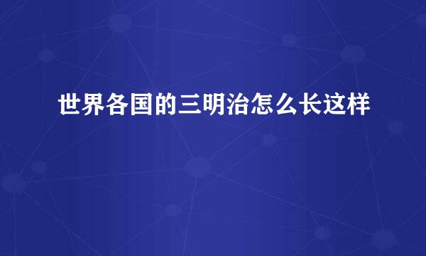 世界各国的三明治怎么长这样