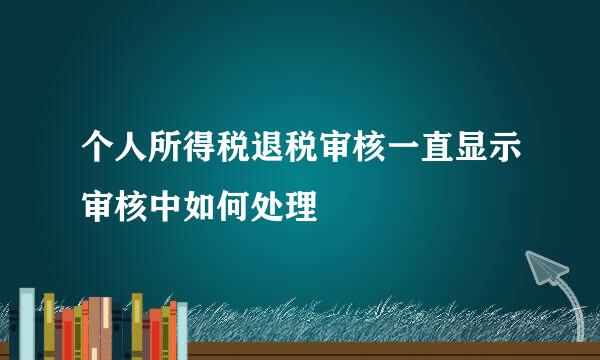 个人所得税退税审核一直显示审核中如何处理