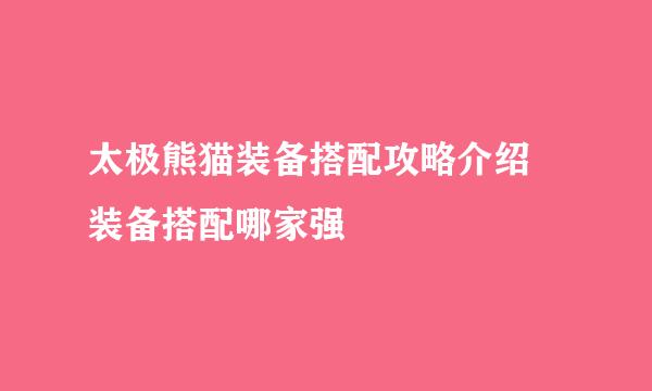 太极熊猫装备搭配攻略介绍 装备搭配哪家强