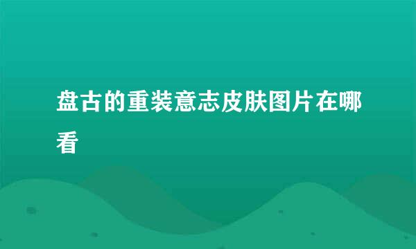 盘古的重装意志皮肤图片在哪看