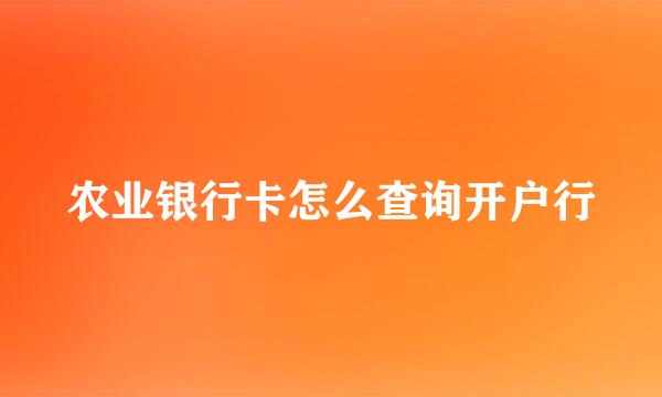 农业银行卡怎么查询开户行