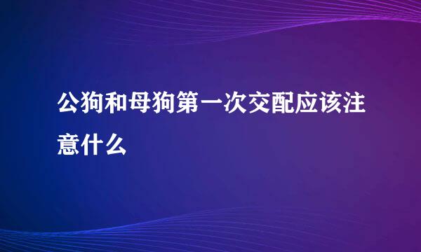 公狗和母狗第一次交配应该注意什么