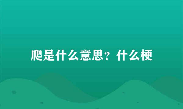 爬是什么意思？什么梗