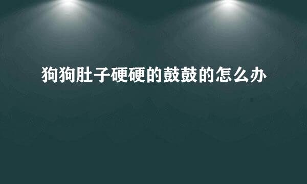 狗狗肚子硬硬的鼓鼓的怎么办