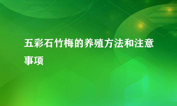 五彩石竹梅的养殖方法和注意事项