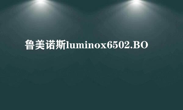 鲁美诺斯luminox6502.BO