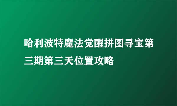 哈利波特魔法觉醒拼图寻宝第三期第三天位置攻略