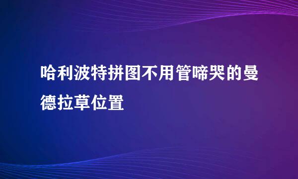 哈利波特拼图不用管啼哭的曼德拉草位置