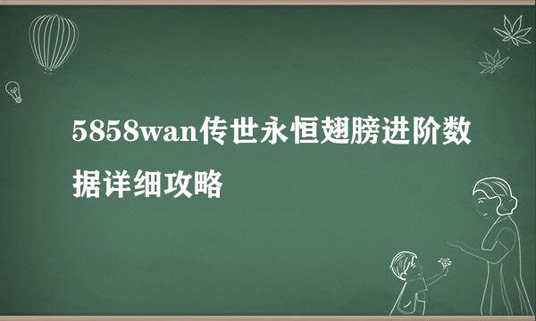 5858wan传世永恒翅膀进阶数据详细攻略