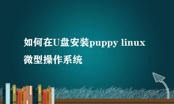 如何在U盘安装puppy linux微型操作系统