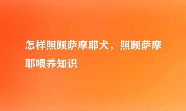 怎样照顾萨摩耶犬，照顾萨摩耶喂养知识