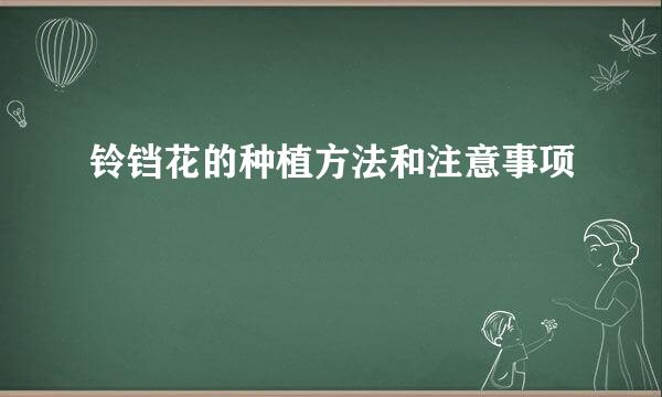 铃铛花的种植方法和注意事项