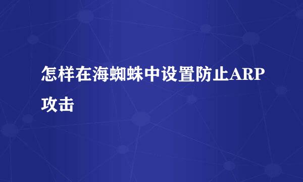 怎样在海蜘蛛中设置防止ARP攻击