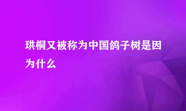 珙桐又被称为中国鸽子树是因为什么