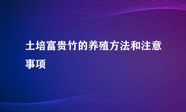 土培富贵竹的养殖方法和注意事项