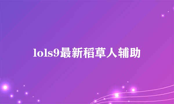 lols9最新稻草人辅助