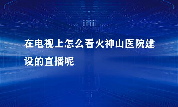 在电视上怎么看火神山医院建设的直播呢