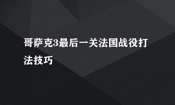 哥萨克3最后一关法国战役打法技巧