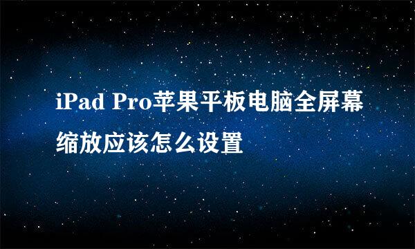 iPad Pro苹果平板电脑全屏幕缩放应该怎么设置