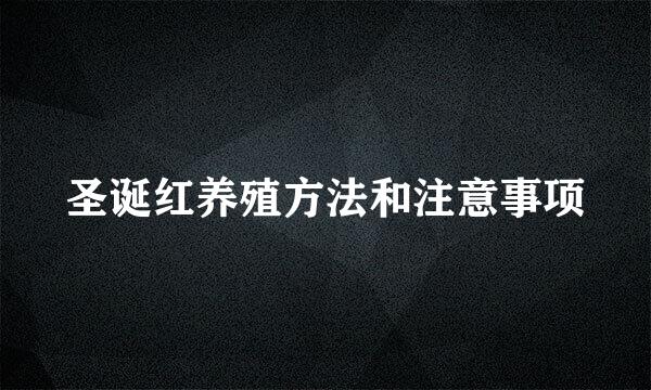 圣诞红养殖方法和注意事项