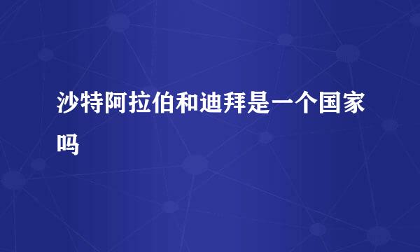 沙特阿拉伯和迪拜是一个国家吗