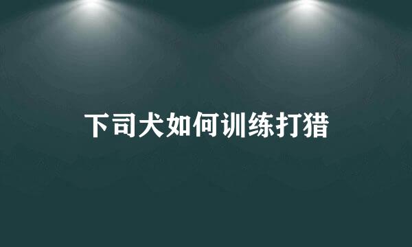 下司犬如何训练打猎