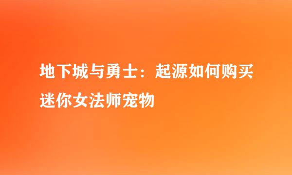 地下城与勇士：起源如何购买迷你女法师宠物