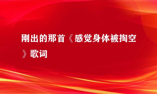 刚出的那首《感觉身体被掏空》歌词