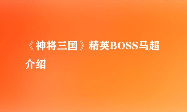 《神将三国》精英BOSS马超介绍