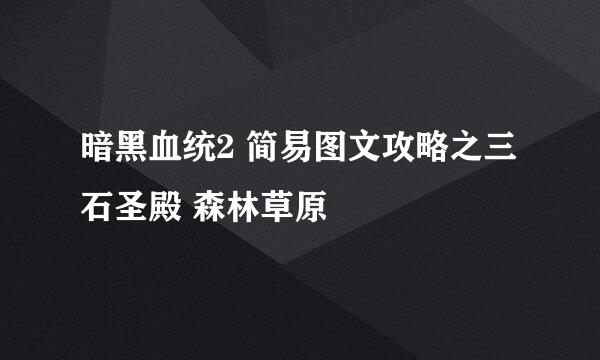 暗黑血统2 简易图文攻略之三石圣殿 森林草原