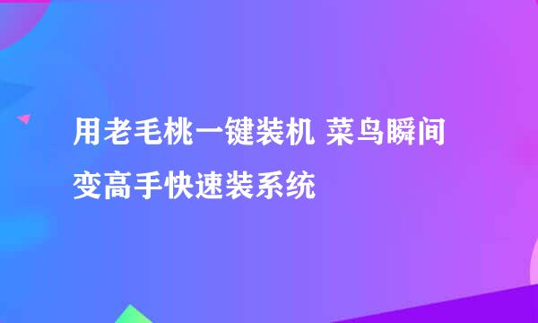 用老毛桃一键装机 菜鸟瞬间变高手快速装系统