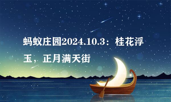 蚂蚁庄园2024.10.3：桂花浮玉，正月满天街