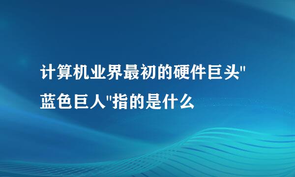 计算机业界最初的硬件巨头