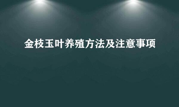 金枝玉叶养殖方法及注意事项