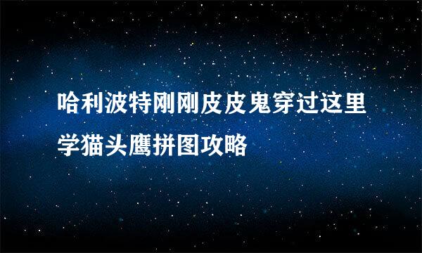 哈利波特刚刚皮皮鬼穿过这里学猫头鹰拼图攻略