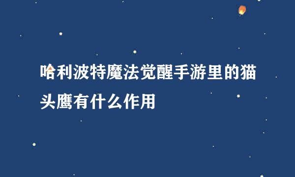 哈利波特魔法觉醒手游里的猫头鹰有什么作用