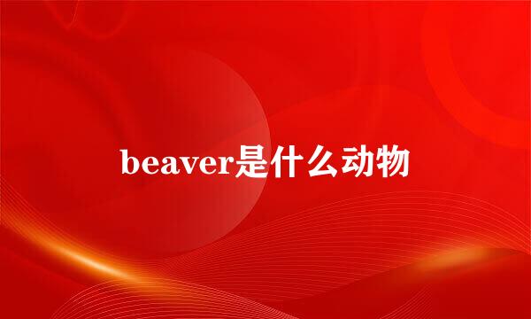 beaver是什么动物