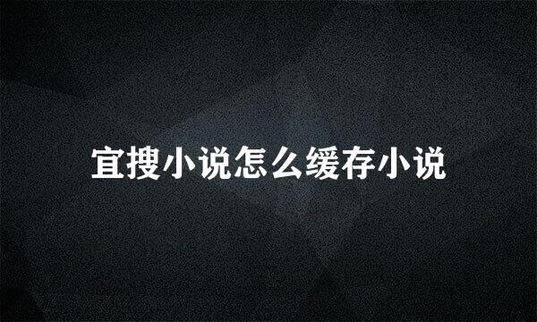 宜搜小说怎么缓存小说