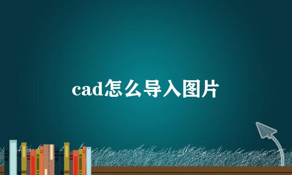 cad怎么导入图片