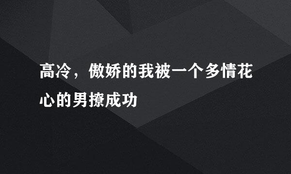 高冷，傲娇的我被一个多情花心的男撩成功