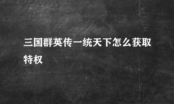 三国群英传一统天下怎么获取特权