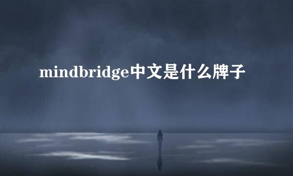 mindbridge中文是什么牌子