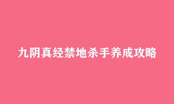 九阴真经禁地杀手养成攻略