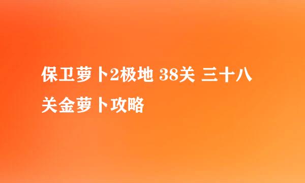 保卫萝卜2极地 38关 三十八关金萝卜攻略