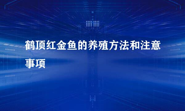 鹤顶红金鱼的养殖方法和注意事项