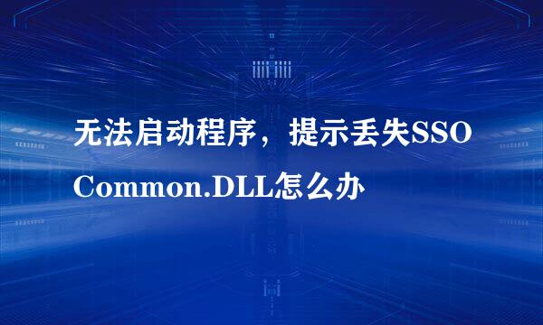 无法启动程序，提示丢失SSOCommon.DLL怎么办